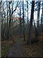 Forest Row 43a Public Footpath, Ashdown Forest