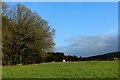 Edge of Southleigh Wood