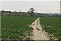 Footpath across field