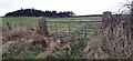 Field gateway on north side of B6413 under Scale Hill Wood