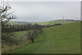 Footpath on Mill Down