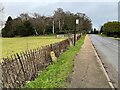 Nursery Wood by Vyse Road