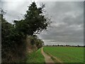 Footpath to Hook by South Field