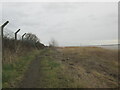 Path alongside the Humber.