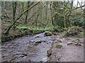 Stream in Rocky Valley near St Nectan