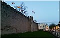 ST1876 : Cardiff Castle by Lauren