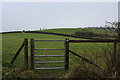 Footpath leading up to Court Hill