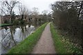 Coventry canal towards bridge #78