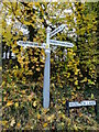 Direction Sign ? Signpost on Redlynch Lane, Chewton Keynsham