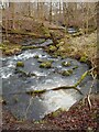 The Craigdhu Burn