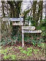 ST1430 : Somerset County Council fingerpost in Combe Florey parish by Marika Reinholds