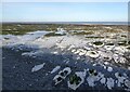 The beach at low tide, Grenham Bay