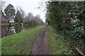 Coventry canal towards bridge #90