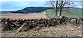 View over wall on north side of B6413 of Scratchmere Scar Farm