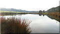 Pond on historic course of the River Weaver & view to Dutton Viaduct