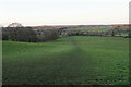 Path down to Ells Farm