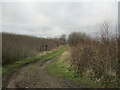 Track near Bellmoor Farm