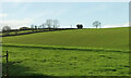 Farmland near Buckyette Farm