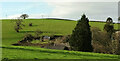 View past Buckyette Farm