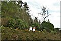 TQ2226 : Leonardslee Gardens: Beehives placed above a bank of heather by Michael Garlick