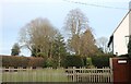 Cottage Garden in Bellingdon