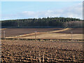 NT7336 : Farmland at Ferneyhill by Jim Barton