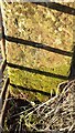 Benchmark on gatepost on west side of rural road west of Longpark