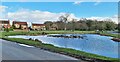 Town End Pond, Skipwith