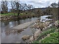 The River Wye (Bredwardine)