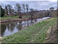 The River Wye (Bredwardine)