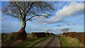 Heads Road, near Glassford