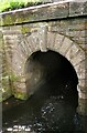 Culvert Portal under Prickshaw Lane