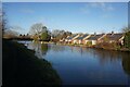 Trent & Mersey Canal towards Bridge #80