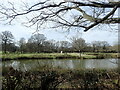 Pond at Waterman Quarter