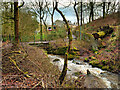 Footbridge over Holcombe Brook at Robin Road