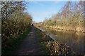 Trent & Mersey Canal towards Bridge #92