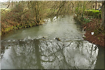 SP2013 : River Windrush by Derek Harper