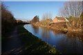 Trent & Mersey Canal towards Bridge #93