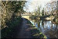 Trent & Mersey Canal towards Bridge #93