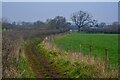 Yatton : Muddy Track