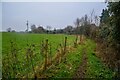 Cleeve : Grassy Field & Footpath