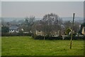 Cleeve : Grassy Field