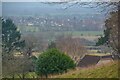 Congresbury : Countryside Scenery