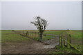 The Mid Wilts Way on Rodmead Hill