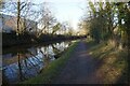 Trent & Mersey Canal towards Bridge #100