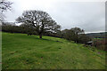 Bridleway across Minehouse farm