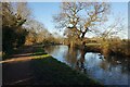 Trent & Mersey canal towards bridge #104