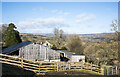 Farm buildings north of Hill End