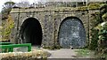 Cyclepath West entrance to Newchurch No.1 Tunnel