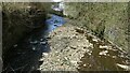 River Irwell from Holt Mill Road Bridge